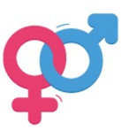 Yetişkin Ürünleri