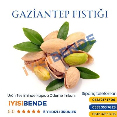 Gaziantep Fıstığı - 