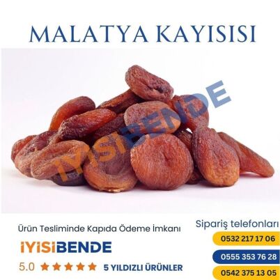 Malatya Kayısı - 